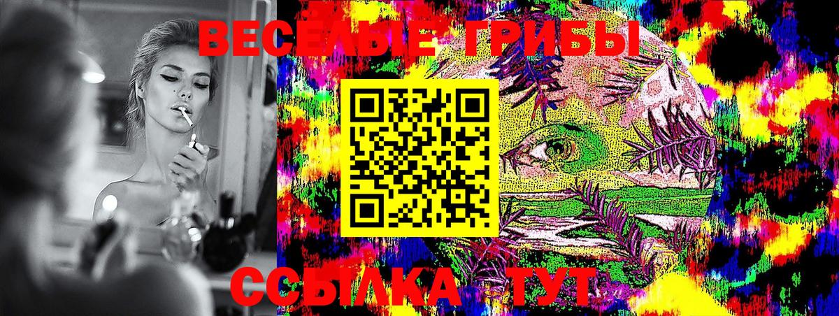 Псилоцибиновые грибы ЛСД Кольчугино